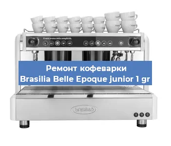 Чистка кофемашины Brasilia Belle Epoque junior 1 gr от кофейных масел в Самаре